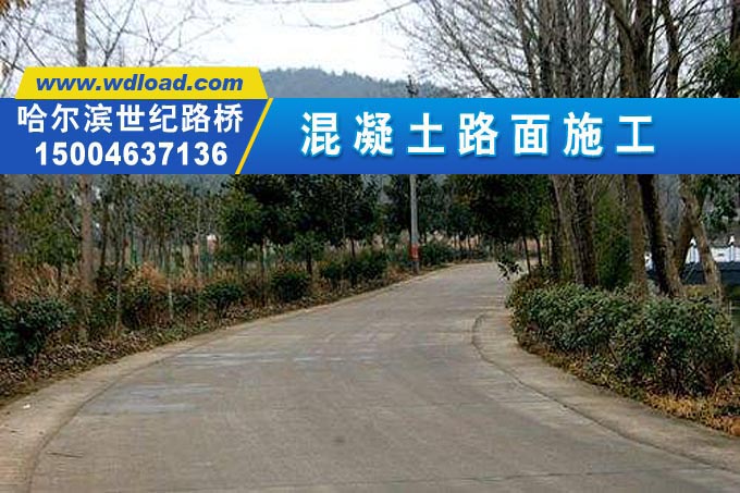 小區(qū)混凝土路面施工 水泥路面