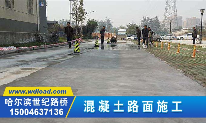 廠區(qū)水泥混凝土路面工程